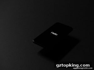 AG真人 gztopking