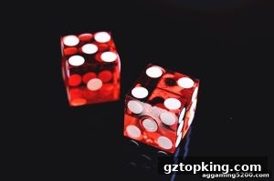AG真人 gztopking